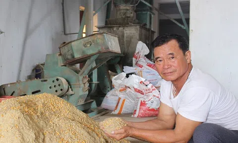 Nguyên liệu thức ăn chăn nuôi có thể giảm trong thời gian tới