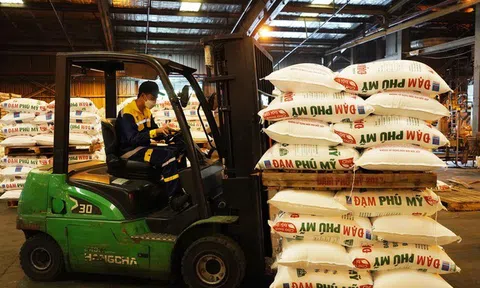 Nhà máy Đạm Phú Mỹ đạt kỷ lục vận hành liên tục dài ngày nhất