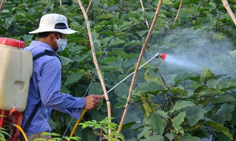 Đẩy mạnh tuyên truyền Luật Bảo vệ môi trường đối với ngành nông nghiệp