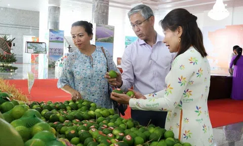Công nghiệp Hậu Giang tạo đột phá thúc đẩy phát triển kinh tế