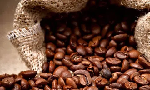 Tiêu dùng xanh ngày 16/7: Giá cà phê Arabica hồi phục