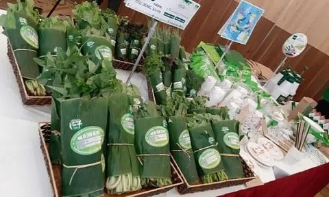 Chìa khoá hướng đến một nền kinh tế xanh