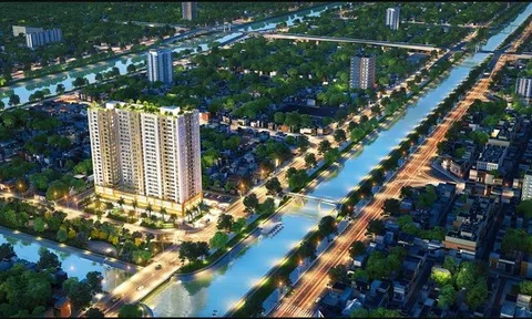 TP.HCM: Xử phạt Công ty TNHH Đầu tư Bất động sản Bình Đông 500 triệu đồng, đình chỉ kinh doanh Dự án Aurora Residences
