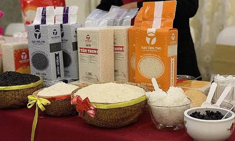 EU ban hành quy định mới về xuất khẩu, doanh nghiệp cần lưu ý gì?