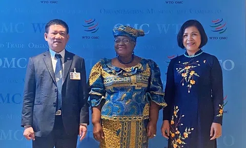 Việt Nam đang thực hiện tốt các hoạt động tăng trưởng xanh và phát triển bền vững