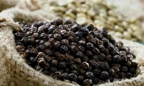 Giá tiêu hôm nay 19/7: Nhu cầu mua yếu, giá đi ngang quanh mốc 65.500-69.500 đồng