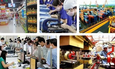 Hỗ trợ khoảng 10.000 doanh nghiệp kinh doanh bền vững