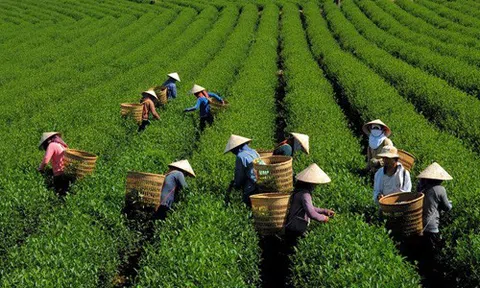 Hỗ trợ khởi nghiệp và đầu tư vùng miền núi