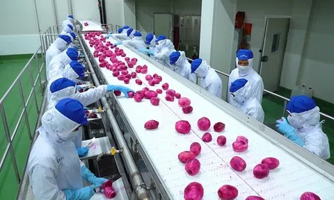Phấn đấu đưa Việt Nam thành trung tâm chế biến nông sản top 10 thế giới năm 2030