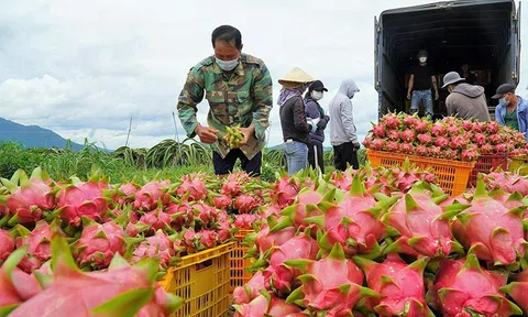 Làm gì để thúc đẩy xuất khẩu?
