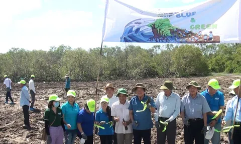 Dự án “Trồng rừng thích ứng biến đổi khí hậu Blue&Green”