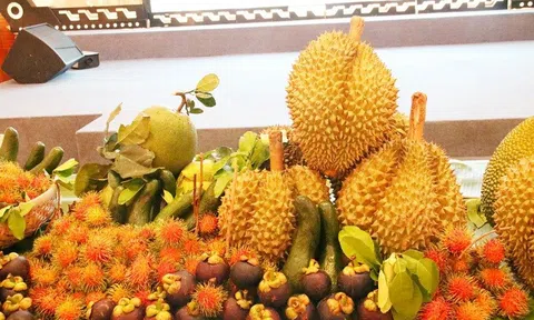 Khánh Hòa: Dự kiến 20.000 khách tham gia Lễ hội trái cây huyện Khánh Sơn lần 2