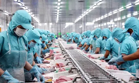 Trung Quốc nới quy định kiểm dịch Covid-19 đối với hàng thủy sản Việt Nam