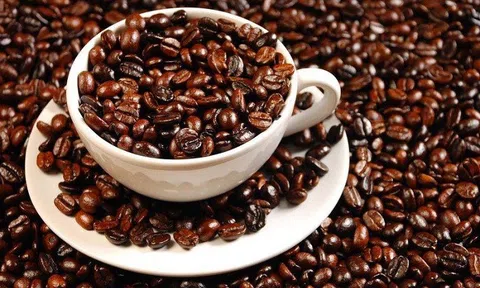 Tiêu dùng xanh ngày 22/7: Giá cà phê trong nước dao động từ 42.500 - 43.000 đồng/kg