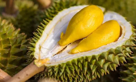 Sầu riêng Việt Nam ngày càng "đắt khách" thế giới