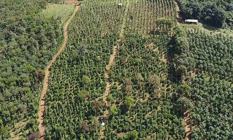 Phát triển du lịch canh nông ở Đắk Nông