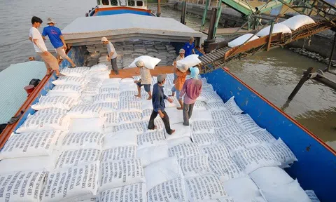 Nông sản Việt bị siết kiểm tra an toàn thực phẩm tại châu Âu