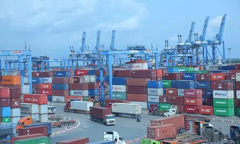 TP.HCM chính thức giảm phí hạ tầng cảng biển từ ngày 1/8