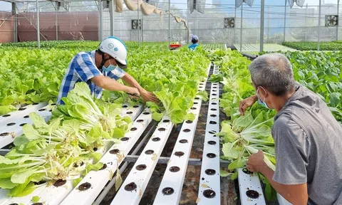 Sẽ có trên 20% sản phẩm nông nghiệp ứng dụng công nghệ cao năm 2025