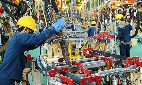 Việt Nam nổi lên trong lĩnh vực sản xuất, ngày càng cạnh tranh vị thế với Ấn Độ