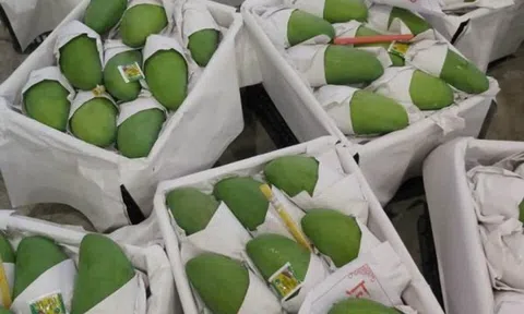 Tư vấn xuất khẩu gia vị sang thị trường Trung Đông và Châu Phi