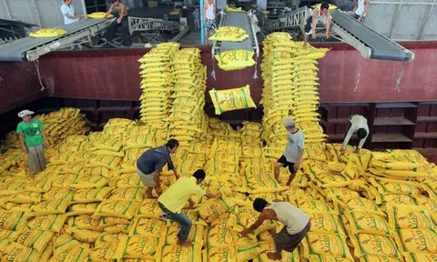 Tình trạng dư thừa gạo và nguy cơ "cuộc chiến giá gạo" ở Châu Á