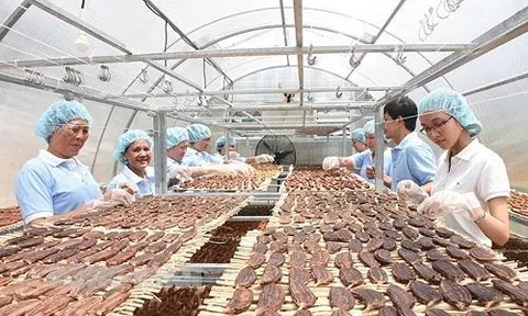 Máy sấy nông sản bằng năng lượng Mặt trời