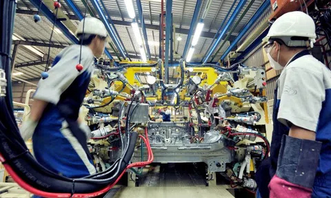 Chủ tịch EuroCham: Đây là thời điểm thú vị để kinh doanh tại Việt Nam