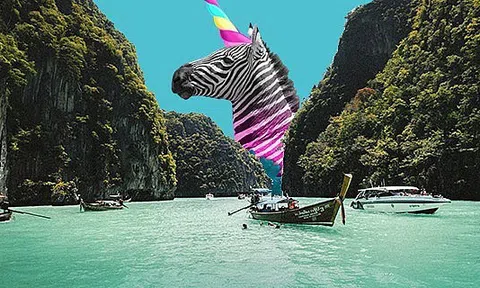 Việt Nam có thể là trung tâm tiếp theo của 'kỳ lân' khởi nghiệp ở châu Á-Thái Bình Dương