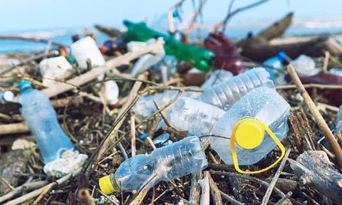 Đề xuất thu phí đối với túi nhựa không phân hủy sinh học và cốc đựng cà phê mang về