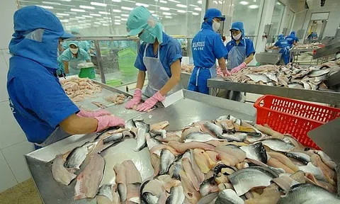 Quy định mới của Trung Quốc về kiểm soát Covid-19 với thực phẩm lạnh nhập khẩu