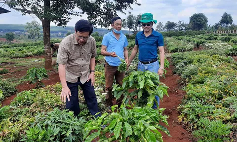 Hợp tác, phát triển Trang trại Nông nghiệp hữu cơ tại các tỉnh Tây Nguyên - Xu thế tất yếu