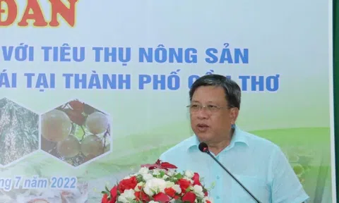 Cần Thơ: Doanh nghiệp và người sản xuất nông sản tìm giải pháp tiêu thụ sản phẩm
