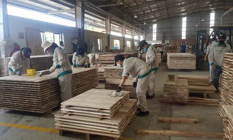 Sản xuất nông nghiệp tăng trưởng trong khó khăn