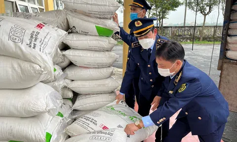 Đường nhập lậu hoành hành: Ngành mía đường cầu cứu khẩn