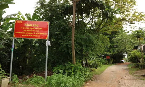 Bình Dương: Xử phạt nhiều dự án bất động sản "treo" và chậm tiến độ