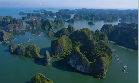 Trang du lịch uy tín Mỹ lựa chọn vịnh Lan Hạ là điểm đến đẹp nhất Việt Nam