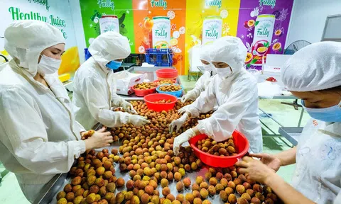 Thúc đẩy xuất khẩu nông sản Việt Nam sang thị trường Australia