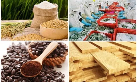 Sản xuất nông nghiệp tiếp đà tăng trưởng, đạt kết quả cao trong 7 tháng đầu năm