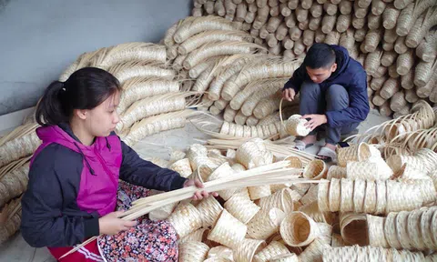 100 thị trường thế giới nhập khẩu sản phẩm từ tre của Việt Nam