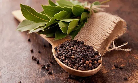 Giá tiêu hôm nay 5/8: Tăng nhẹ tại nhiều địa phương