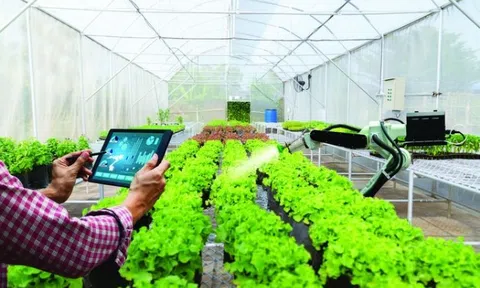 Ứng dụng công nghệ số từng bước xây dựng nông thôn mới thông minh