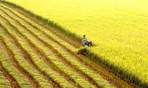 Kiến nghị của HoREA về chủ trương “tập trung đất đai, tích tụ đất đai”