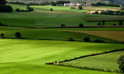 Mở rộng hạn mức nhận chuyển nhượng quyền sử dụng đất nông nghiệp