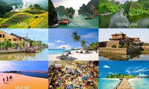 Việt Nam có tên trong nhiều đề cử giải thưởng danh giá về du lịch của World Travel Awards năm 2022