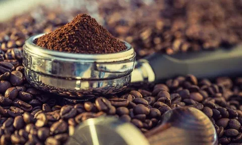 Tiêu dùng xanh ngày 7/8: Giá cà phê tăng 400 đồng/kg trong tuần qua