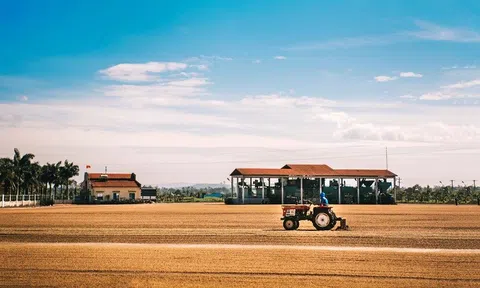 Nông trường CADA đánh dấu trăm năm thành lập với sản phẩm cà phê Fine Robusta độc đáo