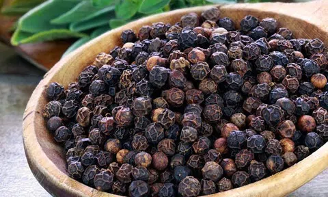 Giá tiêu hôm nay 8/8: Thị trường trong nước ổn định, giá tiêu cao nhất 74.500 đồng/kg