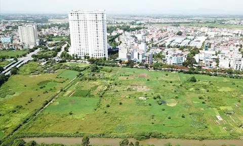 Hiệp hội Bất động sản TP.HCM góp ý quy định về “bảng giá đất” tại Điều 130 Dự thảo Luật Đất đai sửa đổi