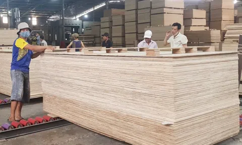 Gỗ dán Việt Nam sẽ bị Mỹ áp thuế cao nếu sử dụng nguyên liệu nhập từ Trung Quốc